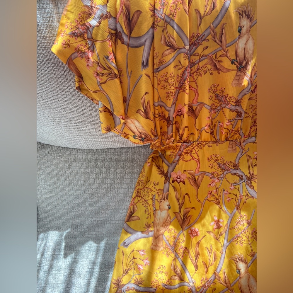 Johanna Ortiz x HM maxi dress